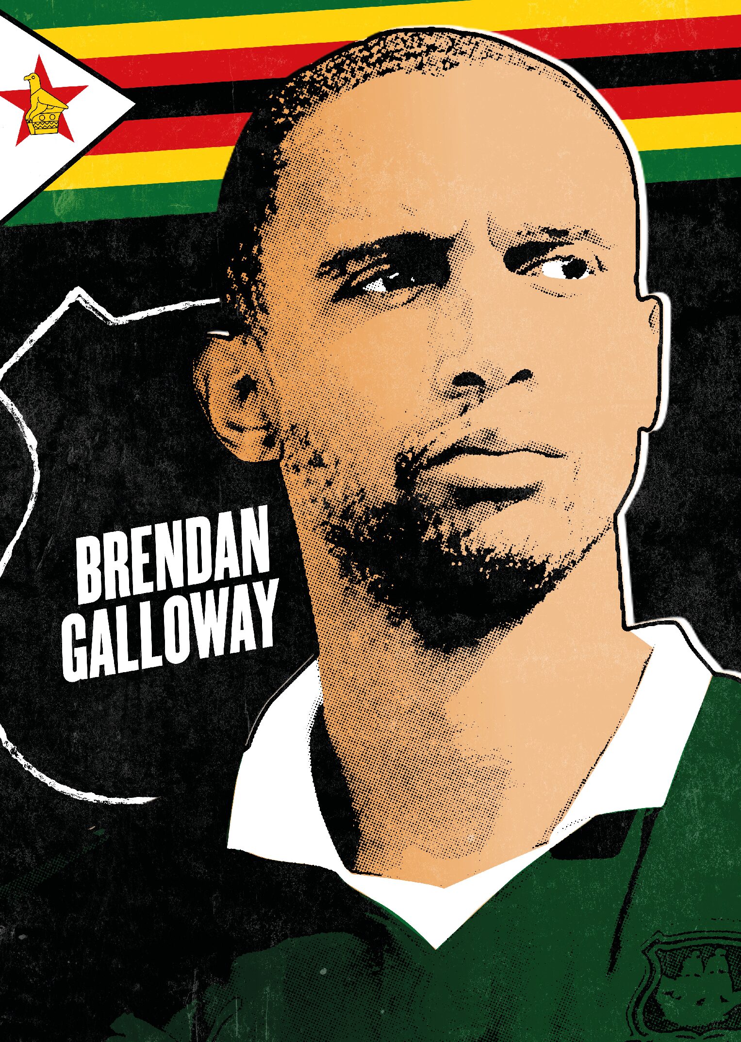 Brendan Galloway Mini Flag