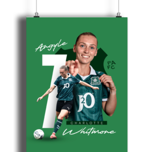 Charlotte Whitmore Flag Print