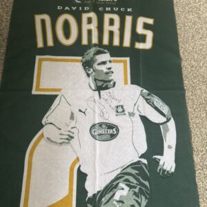 Norris Mini Flag